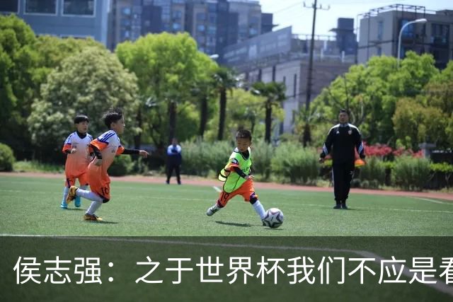 侯志强：之于世界杯我们不应是看客，青训体系需全面对标世界杯
