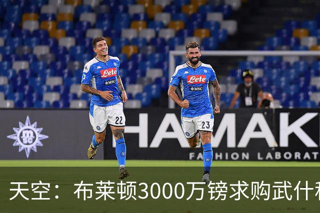 天空：布莱顿3000万镑求购武什科维奇，预计热刺对其估值超6000万