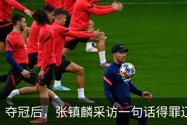 夺冠后，张镇麟采访一句话得罪辽宁，辽蜜：有本事到四川证明价值