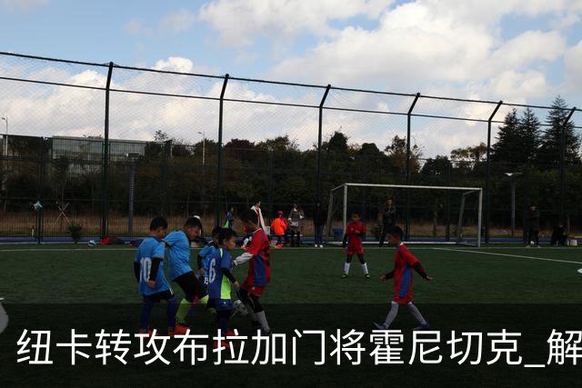 纽卡转攻布拉加门将霍尼切克 解约金2590万镑交易或迅速敲定