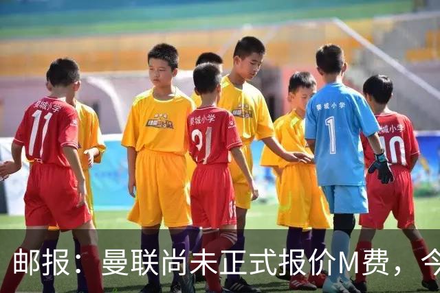 邮报：曼联尚未正式报价M费，今夏没足够资金引进刘易斯·霍尔